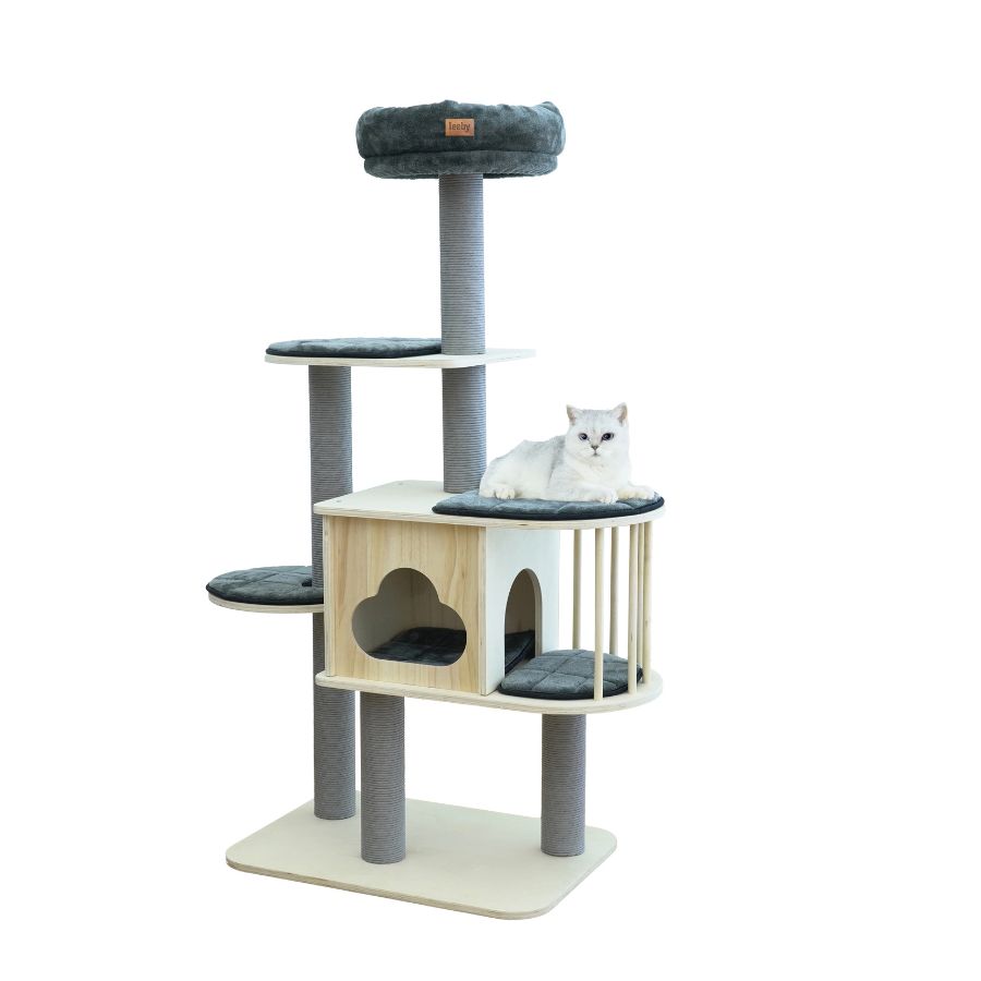 Cloud gimnasio torre rascador premium para gatos escalar y esconderse l, , large image number null