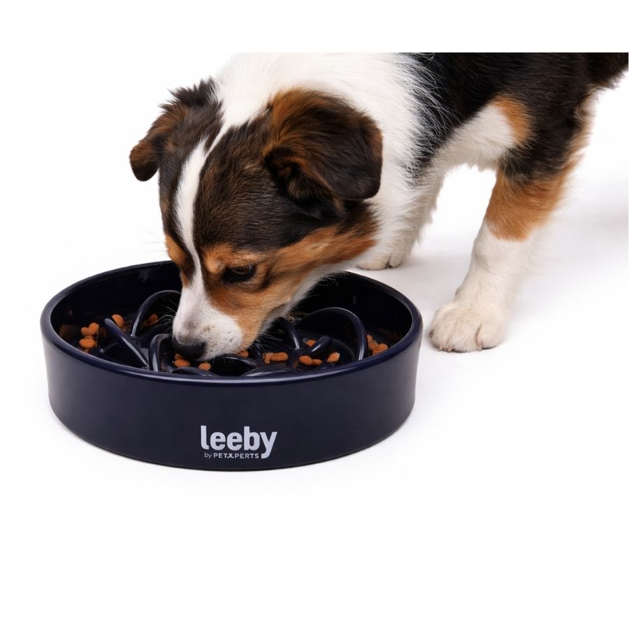 Leeby plato anti-ahogo para perros color azul marino en forma de rosa, , large image number null