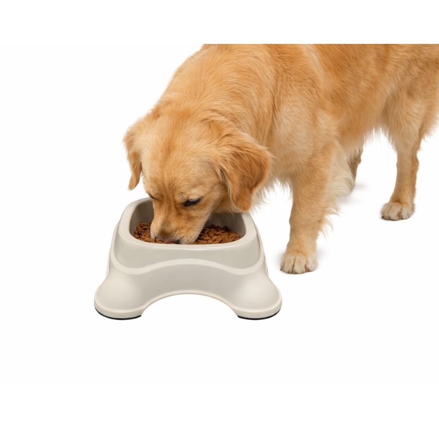 Leeby plato plastico color beige para perros, , large image number null
