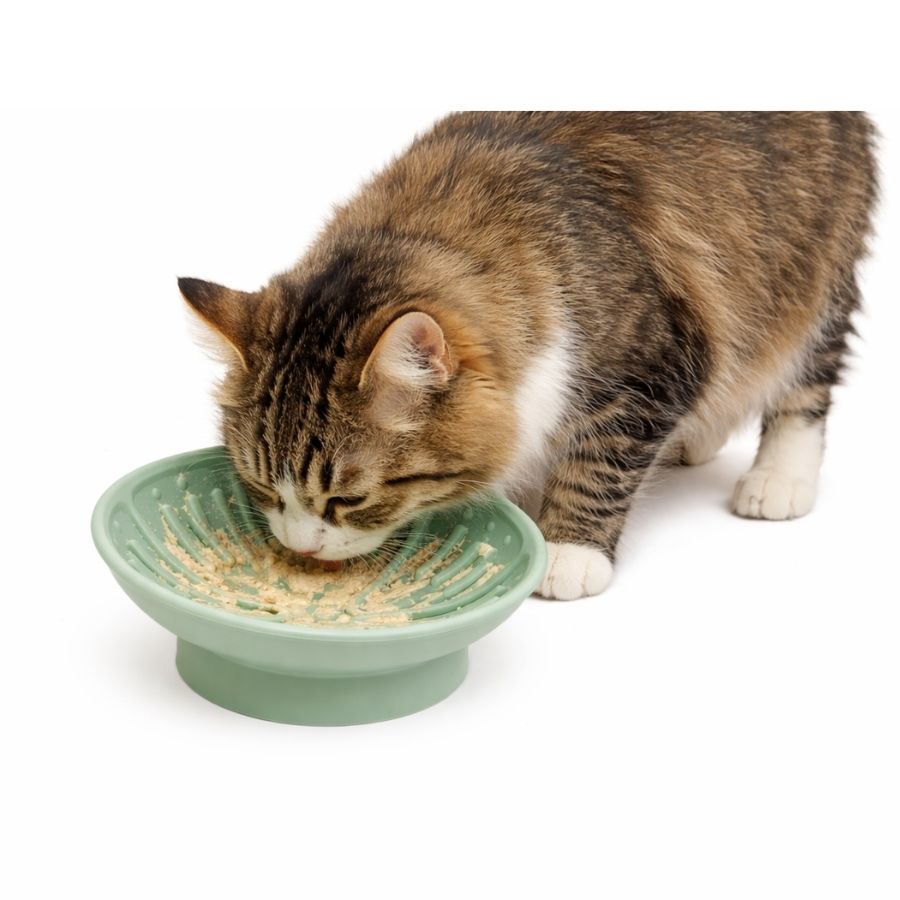 Leeby plato interactivo para mascotas 225ML silicona color verde, , large image number null