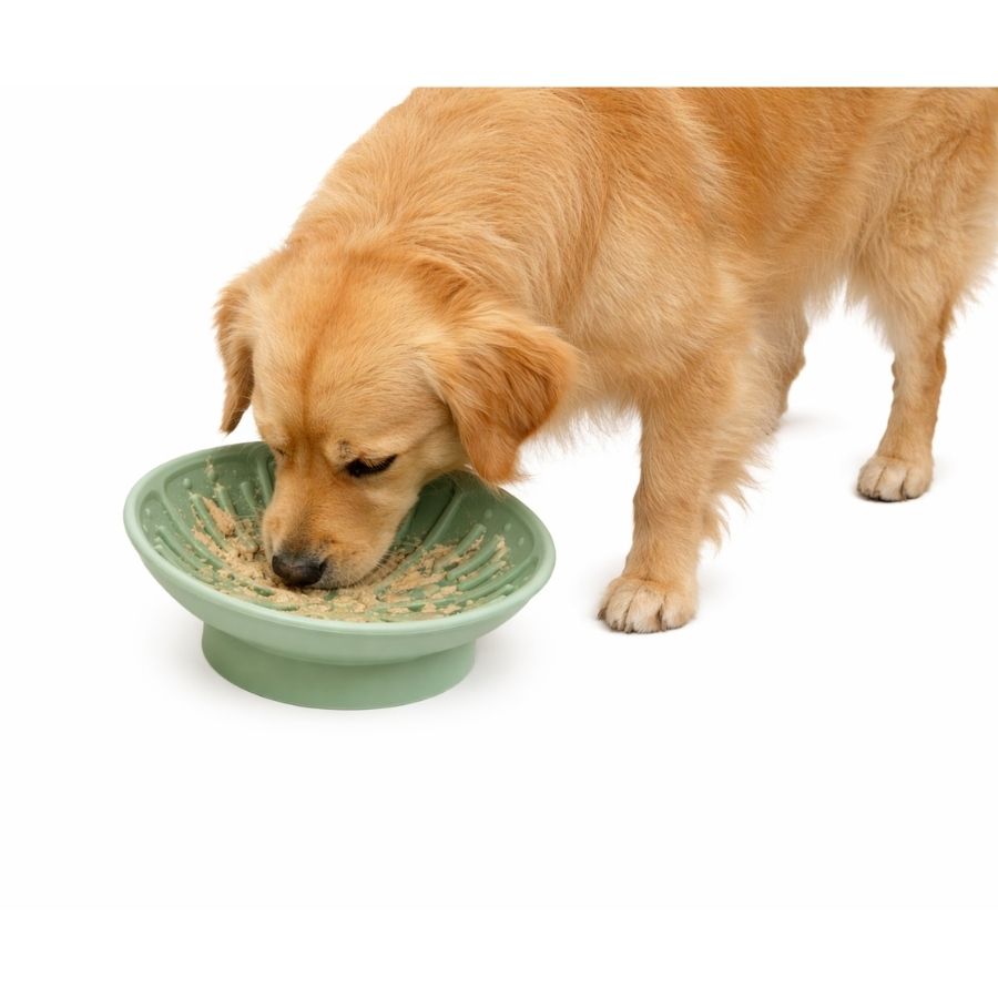 Leeby plato interactivo para mascotas 225ML silicona color verde, , large image number null