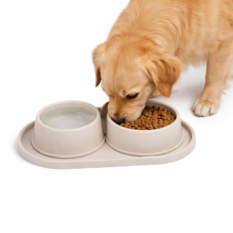 Leeby plato doble para perros 500ML color taupe plastico, , large image number null