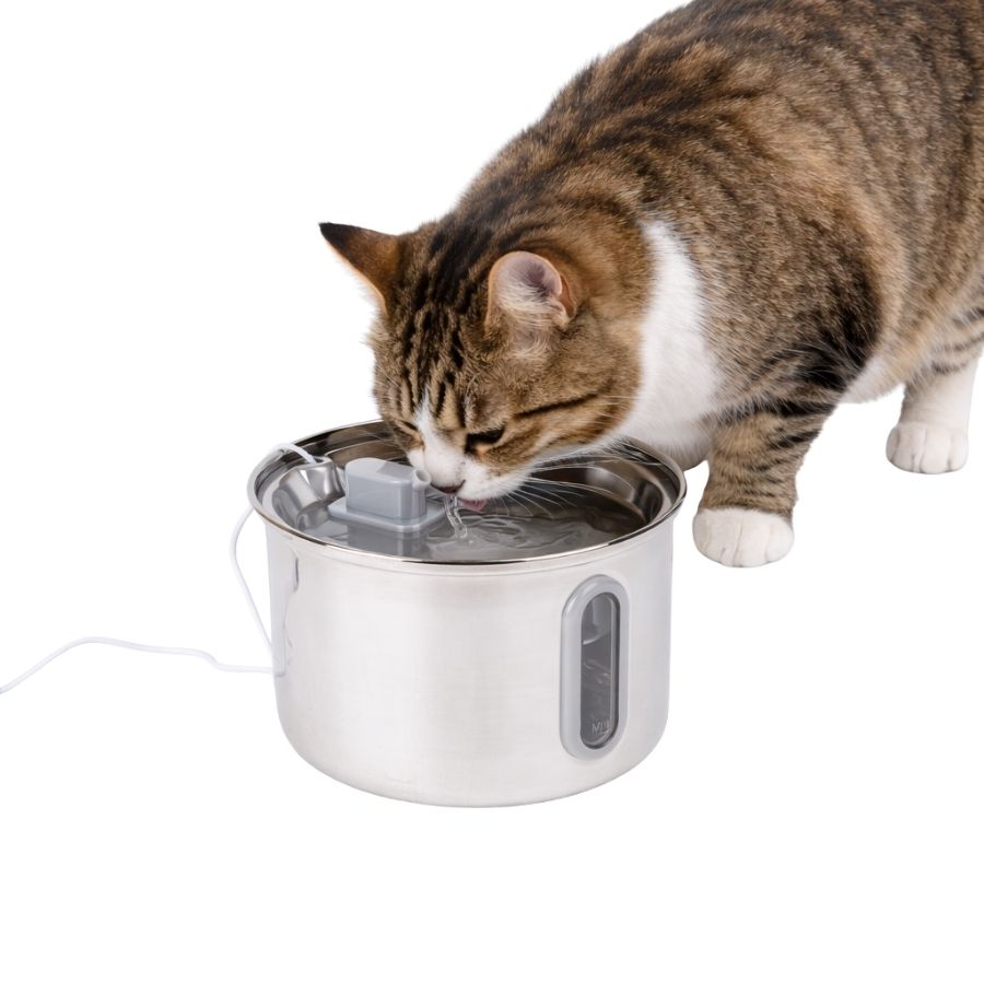 Leeby fuente de agua koko para mascotas acero inoxidable 3L, , large image number null