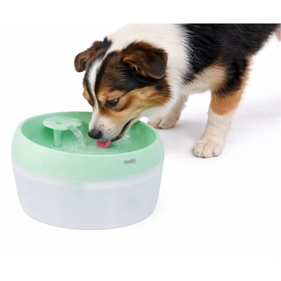 Leeby fuente de agua kimi para mascotas color verde 1.5L, , large image number null
