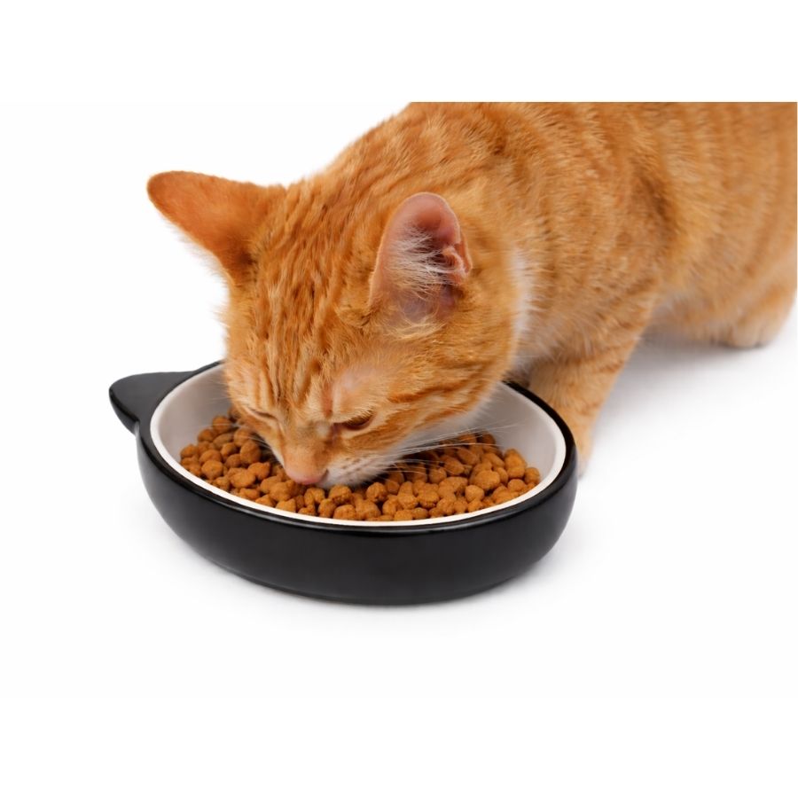 Leeby plato de ceramica para gatos color negro 250g/120ml, , large image number null