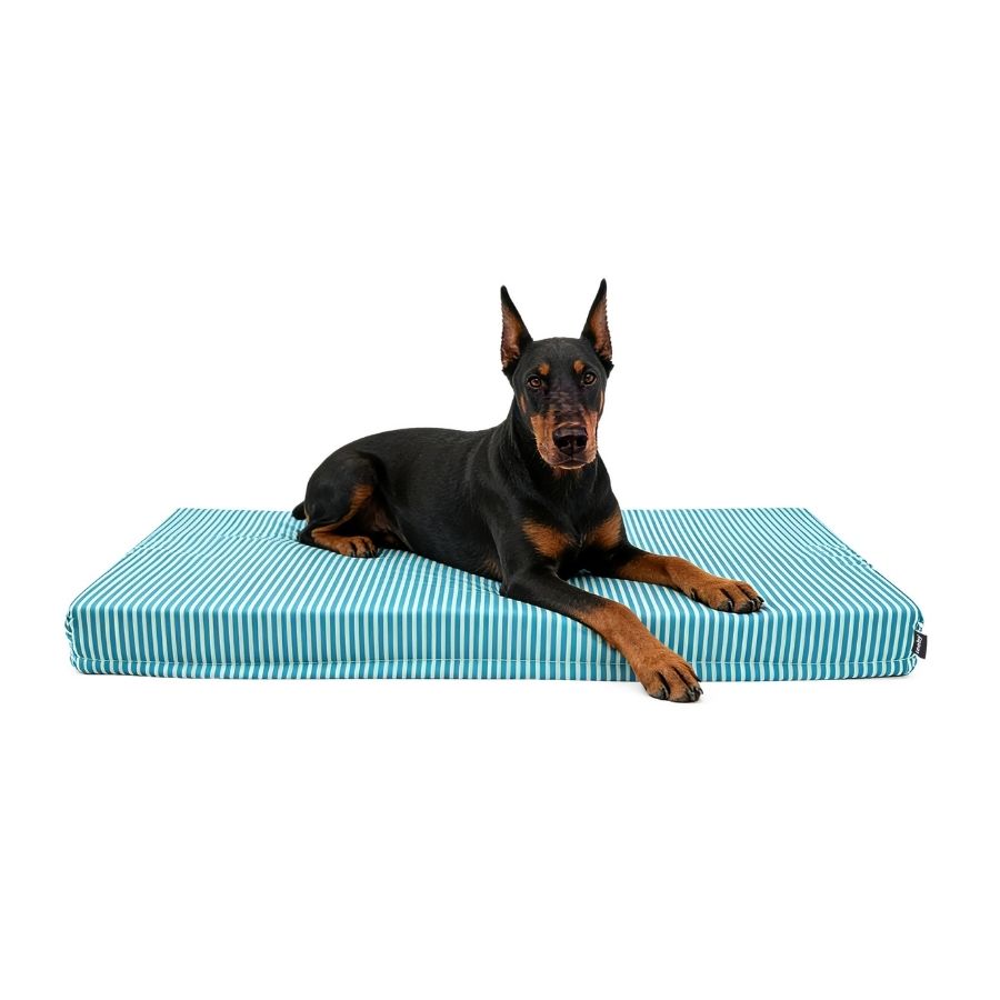 Leeby Cama Forma Colchoneta Para Perros Con Rayas Verde Y Rosa, , large image number null