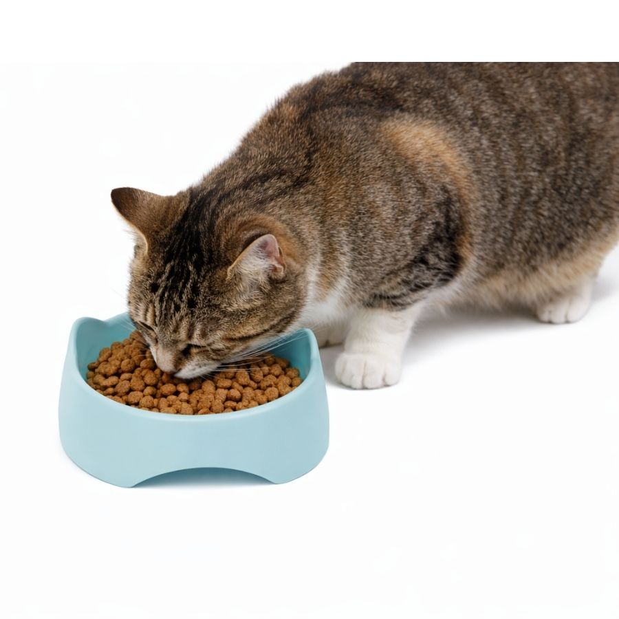 Leeby plato interactivo para gatos de plastico color celeste, , large image number null