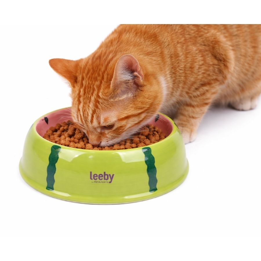 Leeby plato de ceramica para gatos 150ML, , large image number null