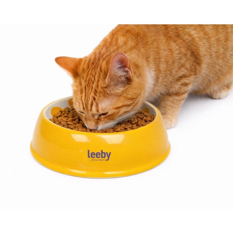 Leeby plato de ceramica para gatos 150ML, , large image number null