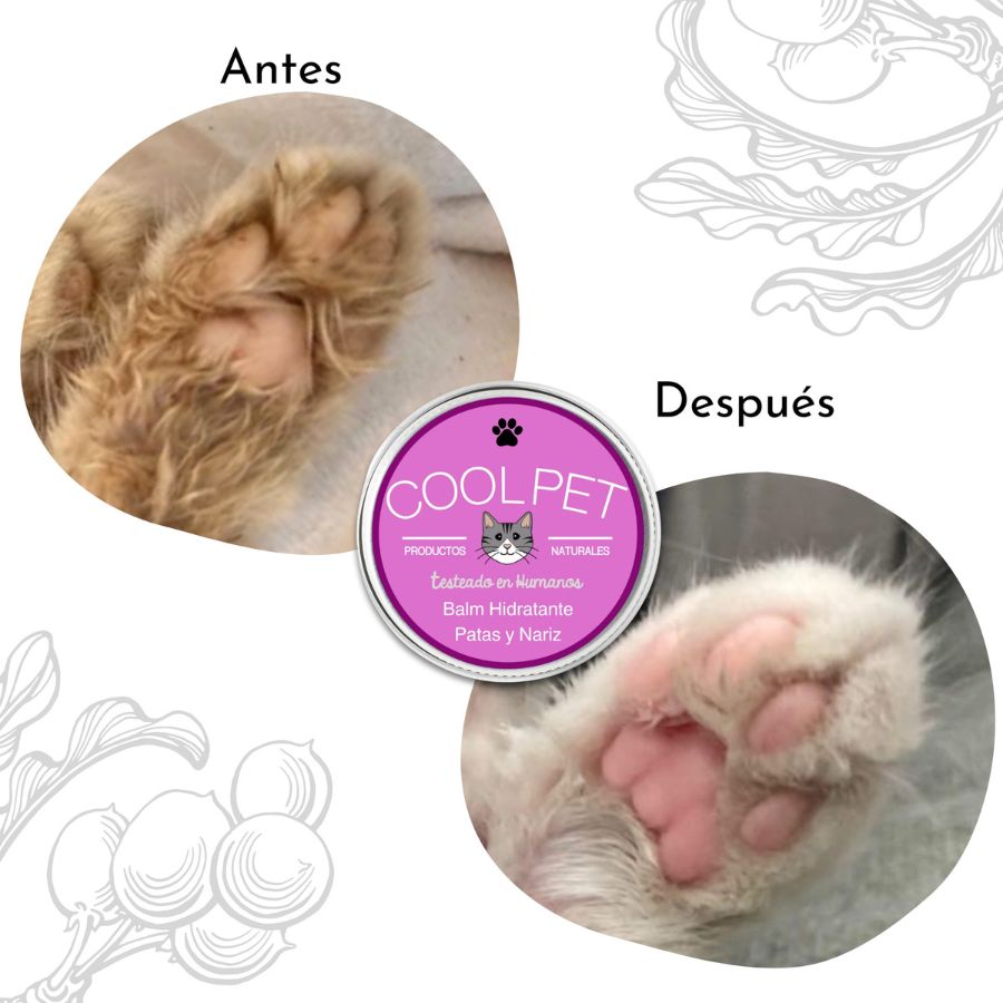 Coolpet Balsamo Hidratante Patas Y Nariz Para Gatos 10Ml, , large image number null