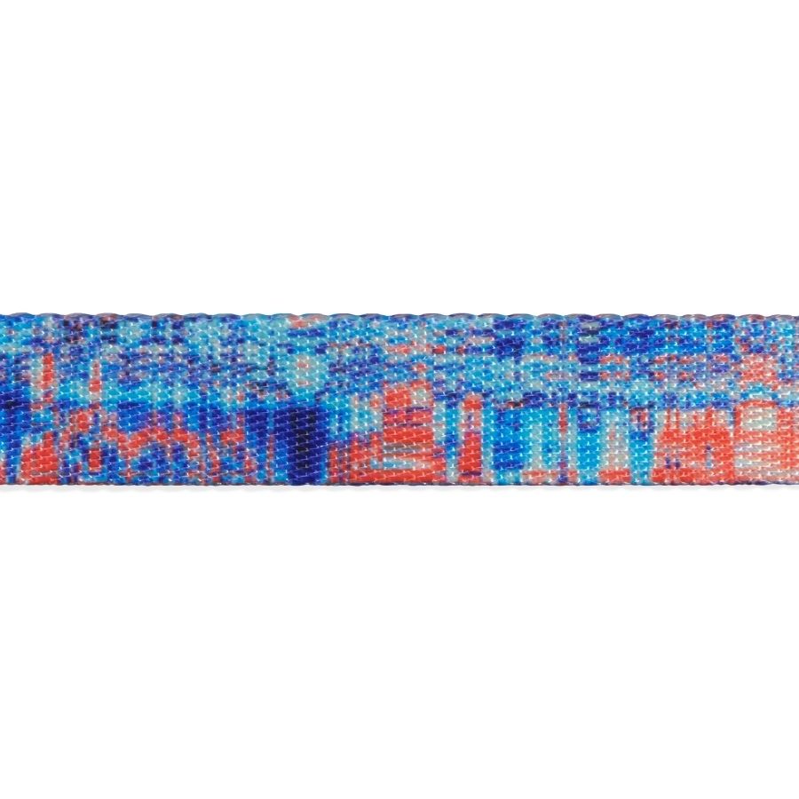 Arn&eacute;s Glitch error #404 para perros, , large image number null