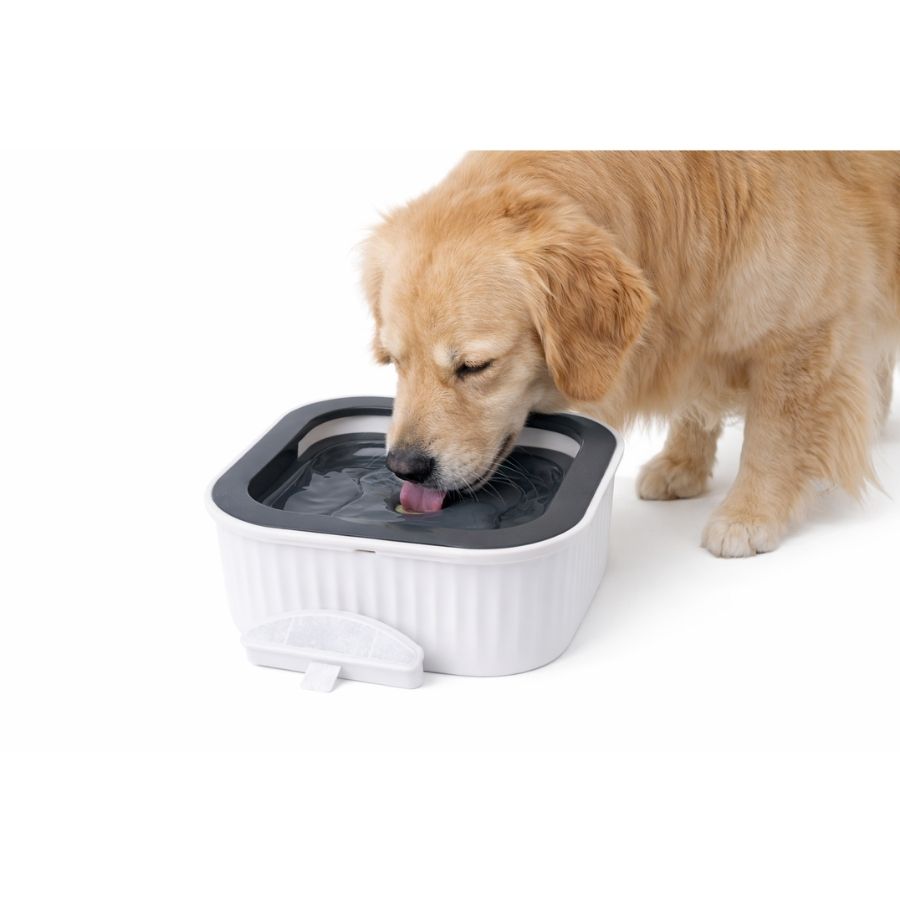 Leeby dispensador de agua anti-splash para perros, , large image number null