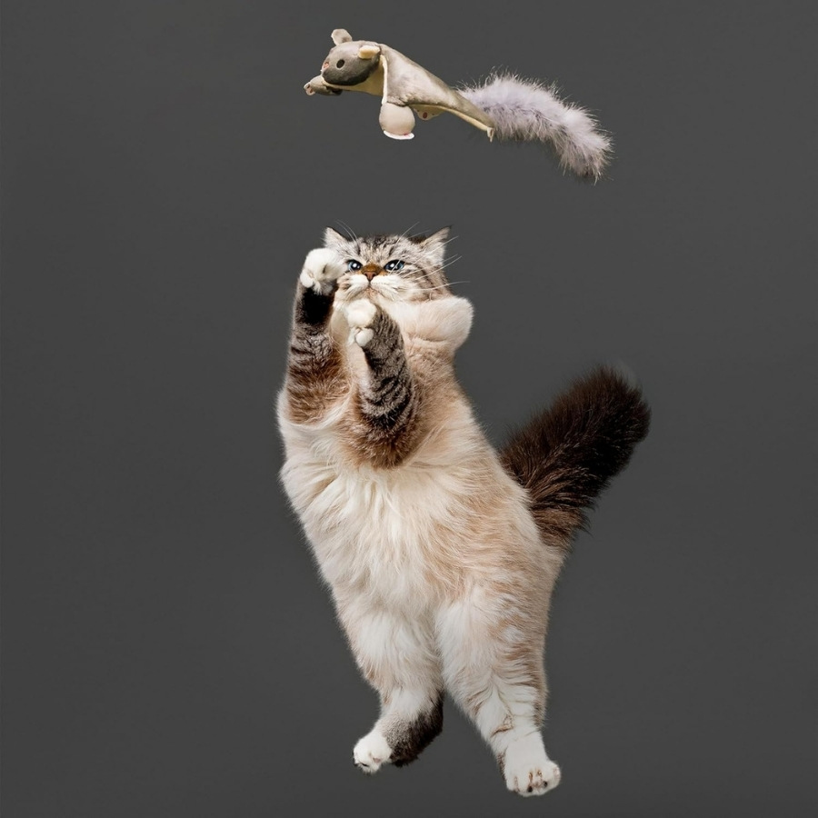 Playology juguete lanzador ardilla voladora para gato, , large image number null