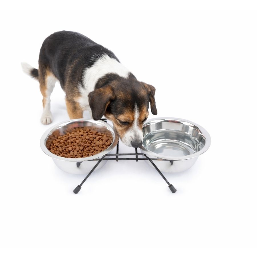 Leeby plato doble acero inoxidable para mascotas, , large image number null