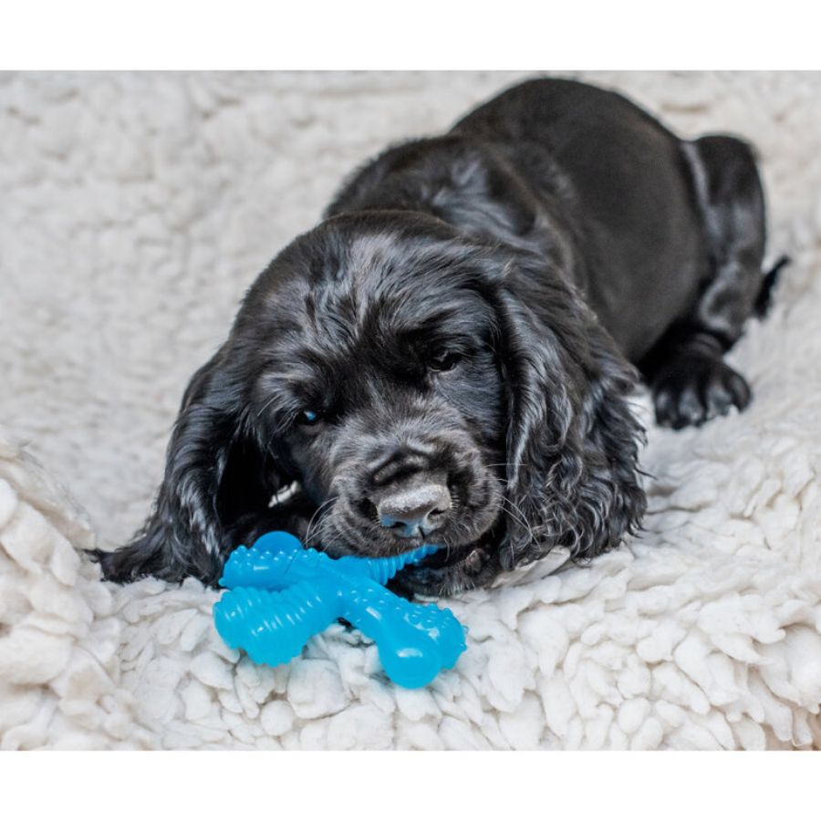 Hueso para cachorro de carne Talla XS, , large image number null