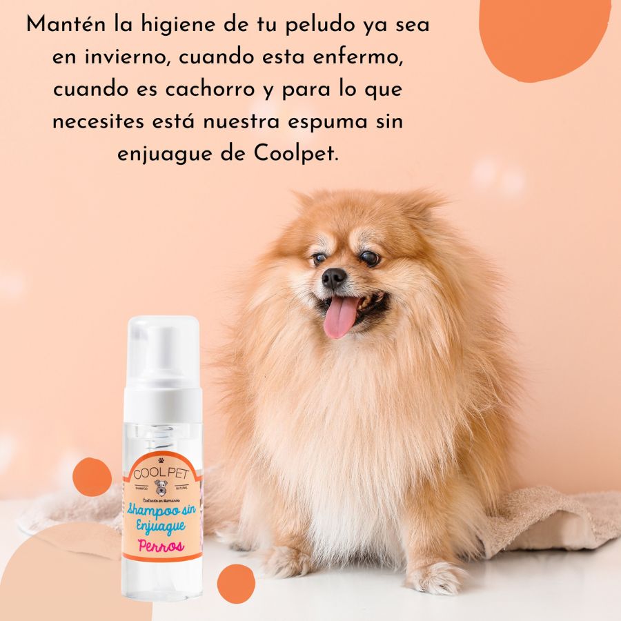 Shampoo sin enjuague para perro, , large image number null